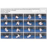 Guard Passing Essentials by Marcelo Garcia