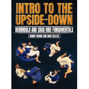 Intro To The Upside-Down by Danny Maira And Nick Salles