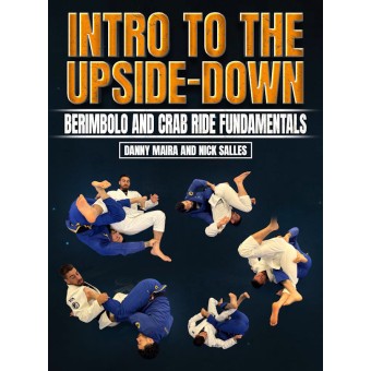 Intro To The Upside-Down by Danny Maira And Nick Salles