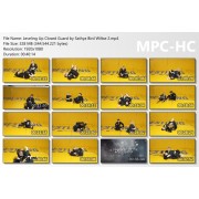 Leveling Up Closed Guard Details For All Skill Levels by Sathya Bird Wiltse