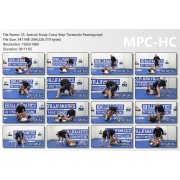 Master the Move Toreando Guard Pass by John Danaher