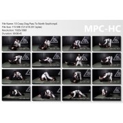 Mastering Crazy Dog Passing by Isaac Doederlein