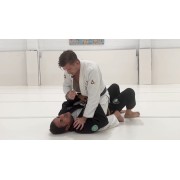 Mount Deep Dive by Chris Burns The BJJ Project