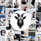 The BJJ Journey Suitcase by Chris Burns The BJJ Project