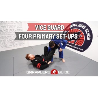 Vice Guard by Jon Thomas