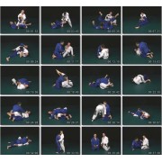 Allen Mohler Jiu-Jitsu Series