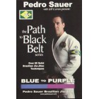 Blue to Purple BJJ Training-Pedro Sauer