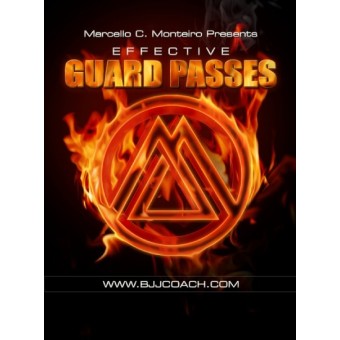Effective Guard Passes-Marcelo C. Monteiro