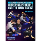 A General Introduction to Mirroring Principle and The Baby Bridge by Wim Deputter