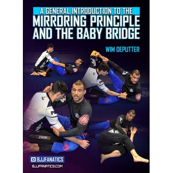 A General Introduction to Mirroring Principle and The Baby Bridge by Wim Deputter