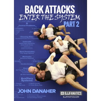 Back Attacks Enter The System Part 2-John Danaher