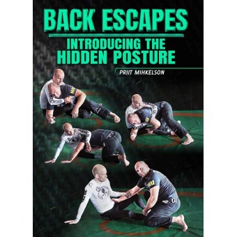 Back Escapes Introducing The Hidden Posture by Priit Mihkelson