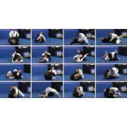 Fundamentals and Concepts 4 DVD Set-Travis Stevens