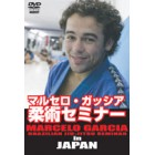 Marcelo Garcia Seminar In Japan