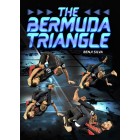 The Bermuda Triangle by Benji Silva