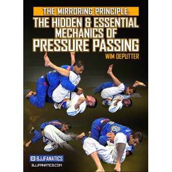 The Mirroring Principle-The Hidden and Essential Mechanics of Pressure Passing by Wim Deputter