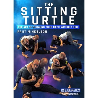 The Sitting Turtle by Priit Mihkelson