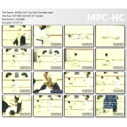 Aikido Volume 1 by Sam Combes