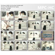 Aikido Volume 4 by Sam Combes