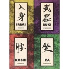 Irimi Buki Koshi Za Aikido by Hiroshi Ikeda