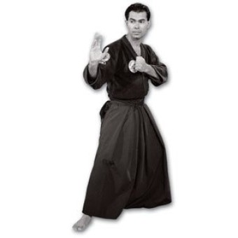 Mastering Aikijujutsu DVD 6-Street Self Defense Against Weapons-Miguel Ibarra