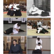Daito-Ryu Aikijujutsu-Katsuyuki Kondo