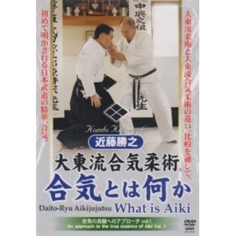 Daito Ryu Aikijujutsu-What is Aiki-Katsuyuki Kondo