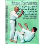 Secret Strikes The Hidden Atemi of Aiki by Tony Annesi