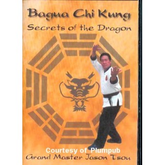 Bagua Chi Kung-Secrets of the Dragon-Jason Tsou