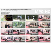 Bagua 8 Main Palms Form by Sifu Ken Gullette Bagua 8 Main Palms Form by Sifu Ken Gullette