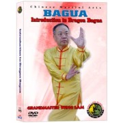 Bagua Introduction to Dragon Ba Gua by Sifu Kwong Wing Lam