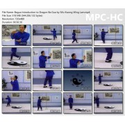 Bagua Introduction to Dragon Ba Gua by Sifu Kwong Wing Lam