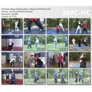 Basic Building Blocks of Bagua Self Defense by Sifu Ken Gullette