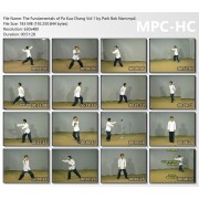 The Fundamentals of Pa Kua Chang Vol 1 by Park Bok Nam and Dan Miller The Fundamentals of Pa Kua Chang Vol 1 by Park Bok Nam and Dan Miller