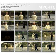 Traditional Yin Style Baguazhang Volume 3 by Zhu Baozheng Zhu Bao Zhen