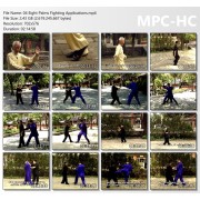 Traditional Yin Style Baguazhang Volume 4 by Zhu Baozheng Zhu Bao Zhen Traditional Yin Style Baguazhang Volume 4 by Zhu Baozheng Zhu Bao Zhen