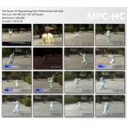 Traditional Yin Style Baguazhang Volume 5 by Zhu Baozheng Zhu Bao Zhen Traditional Yin Style Baguazhang Volume 5 by Zhu Baozheng Zhu Bao Zhen