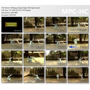 Traditional Yin Style Baguazhang Volume 8 by Zhu Baozheng Zhu Bao Zhen