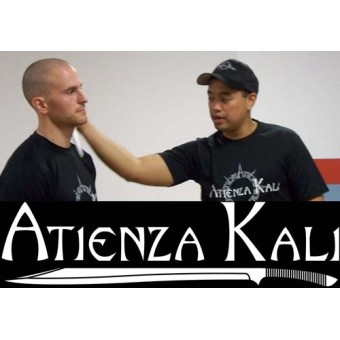 Discipline of The Blade-Introduction to Atienza Kali