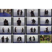 Battlefield Kali Single Stick-2 Series 8 Videos by Burton Richardson