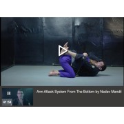 Arm Attack System From The Bottom by Nadav Mandil