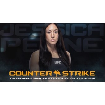Counter Strike Takedowns and Counter Attacks by Jessica Penne
