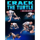 Crack The Turtle by Neil Melanson