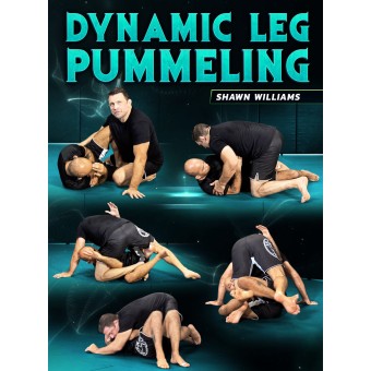 Dynamic Leg Pummeling by Shawn Williams
