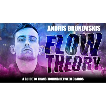 Flow Theory A Guide To Transitioning Between Guards by Andris Brunovskis