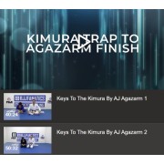 Keys To The Kimura by Aj Agazarm