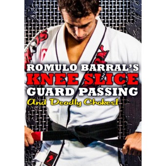 Knee Slice Guard Passing by Romulo Barral