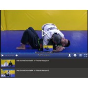Side Control Domination Devastating Submissions by Ricardo Marques
