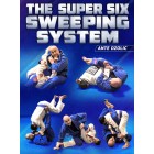 The Super Six Sweeping System by Ante Dzolic