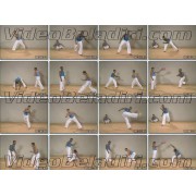 Mastering Capoeira-Nilson Reis 8 Volume Set